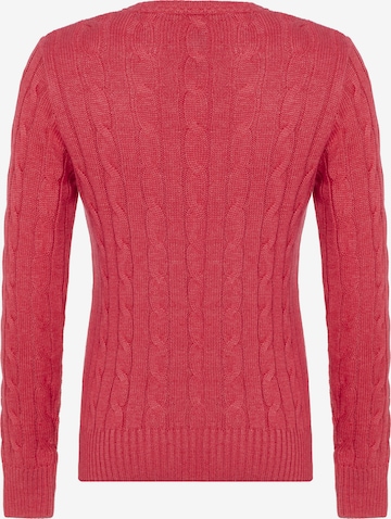 DENIM CULTURE Sweater 'LUDOVICA' in Pink