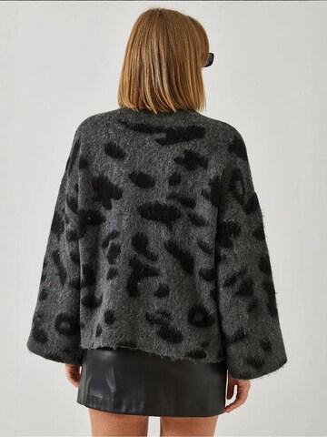 Bianco Lucci - Pullover em cinzento