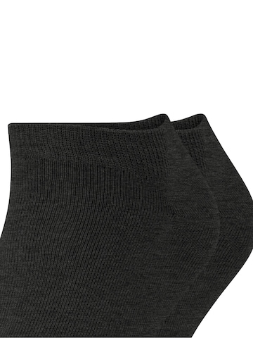 ESPRIT Füßlinge 'Basic Uni 2-Pack'‌‌ in Grau