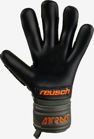 REUSCH Torwarthandschuhe 'Attrakt Freegel Silver Finger Support' in Grün