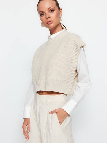 Trendyol Pullover in Grau: Vorderseite