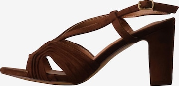 POTI PATI - Sandalias en marrón: frente