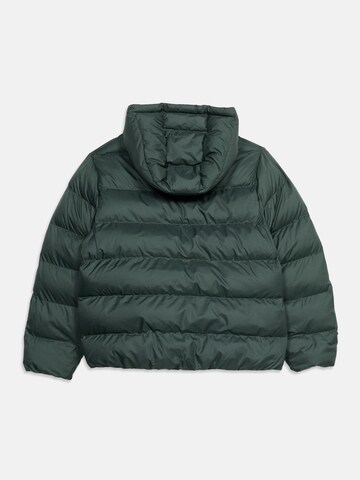 žalia Nike Sportswear Demisezoninė striukė