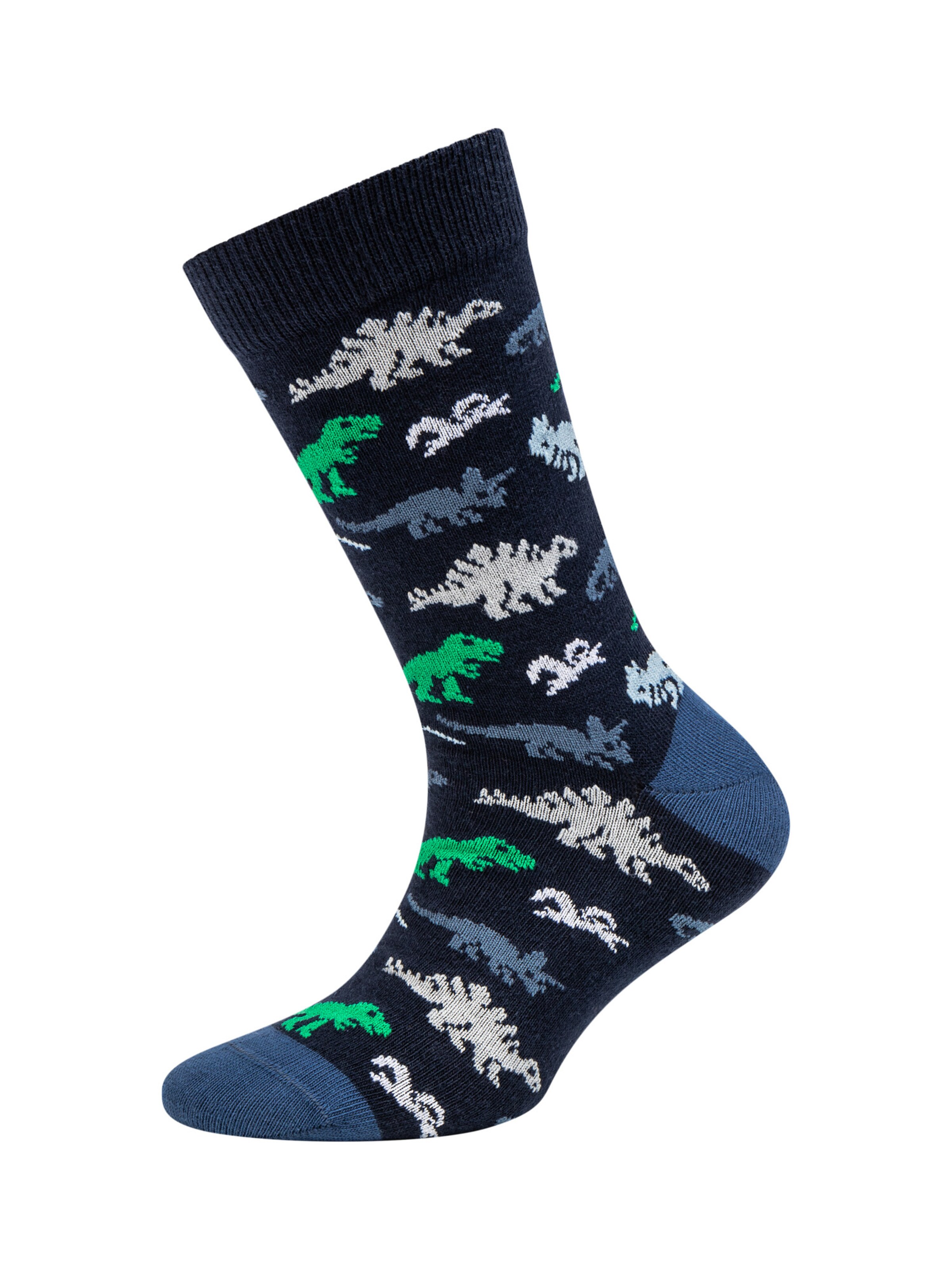 camano Socks in Mixed colors