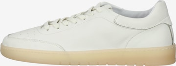 SANSIBAR Sneakers in White