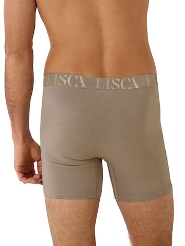 Lisca Boxer shorts 'Odysseus' in Grey