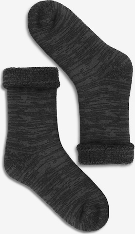 Chaussettes Polar Husky en gris : devant