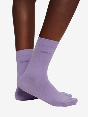 ESPRIT Socks in Mixed colors: front