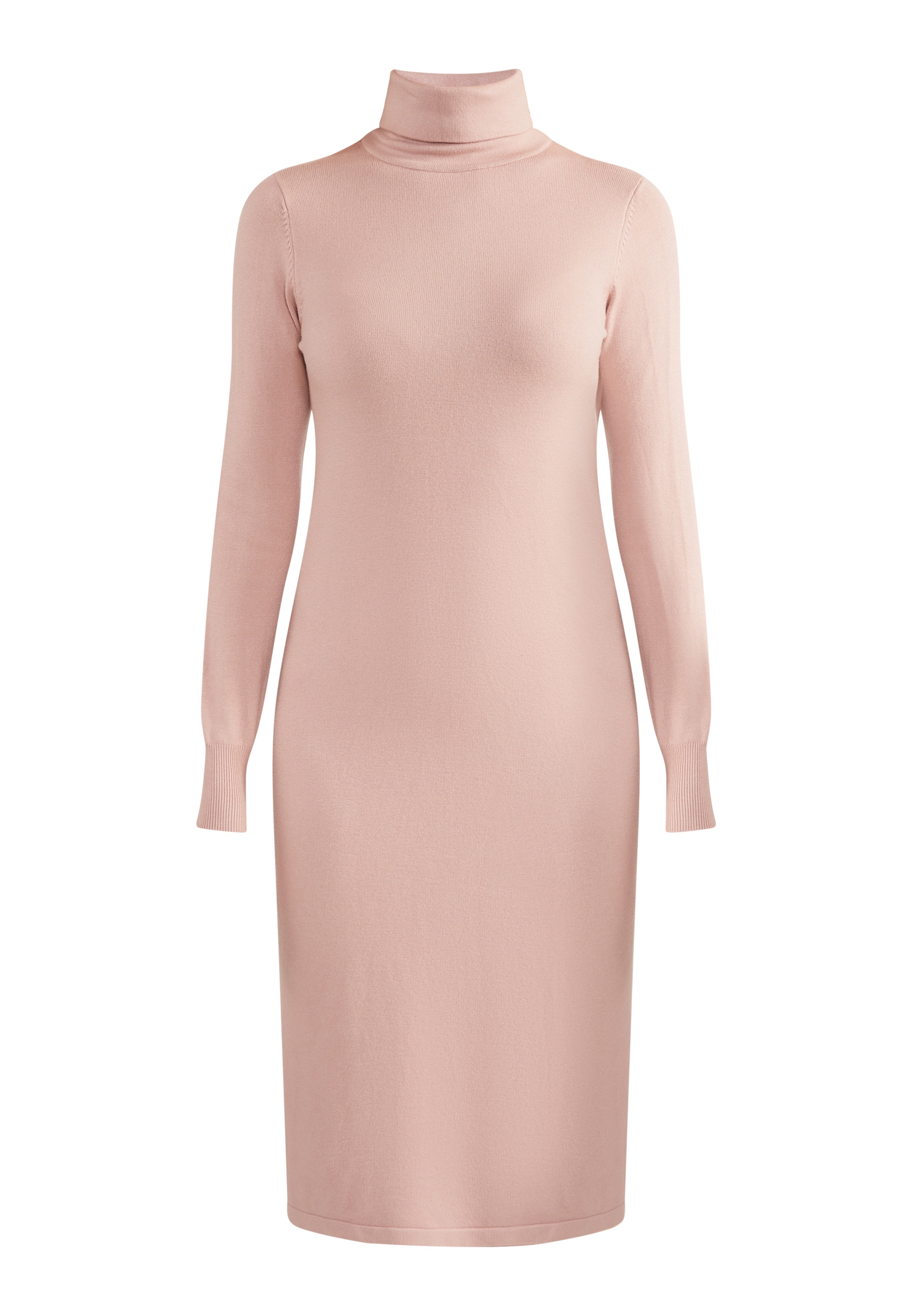 usha WHITE LABEL Kleid in Pink: Vorderseite