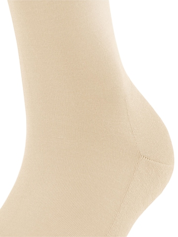 FALKE Knee High Socks 'ClimaWool' in Beige