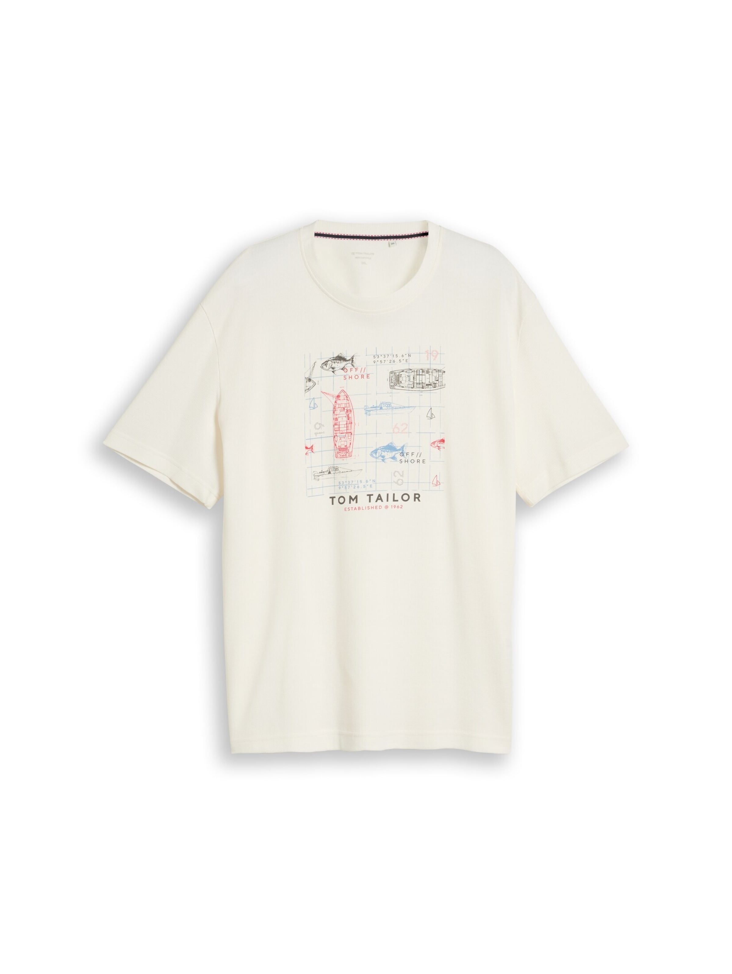 TOM TAILOR Men + T-Shirt in Weiß: Vorderseite