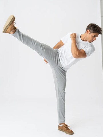 TEESHOPPEN Regular Trousers ' The Original ' in Grey