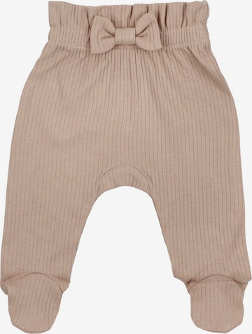 Lagarto Verde Regular Pants in Beige: front
