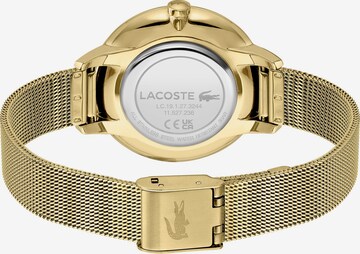 LACOSTE Analoguhr in Gold