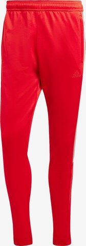 ADIDAS SPORTSWEAR Slim fit Workout Pants 'Tiro' in Red: front