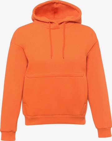 FRESHLIONS Sweatshirt ' Balina ' in Orange: predná strana