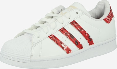 ADIDAS ORIGINALS Madalad ketsid 'Superstar' punane / valge, Tootevaade