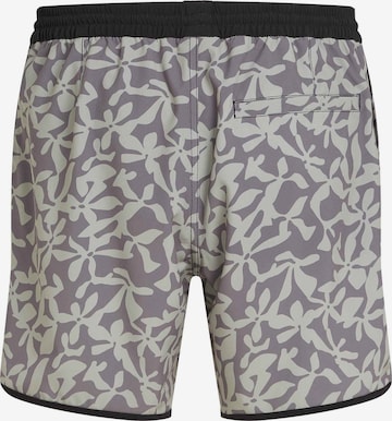 O'NEILL Boardshorts 'Og Scallop' in Groen