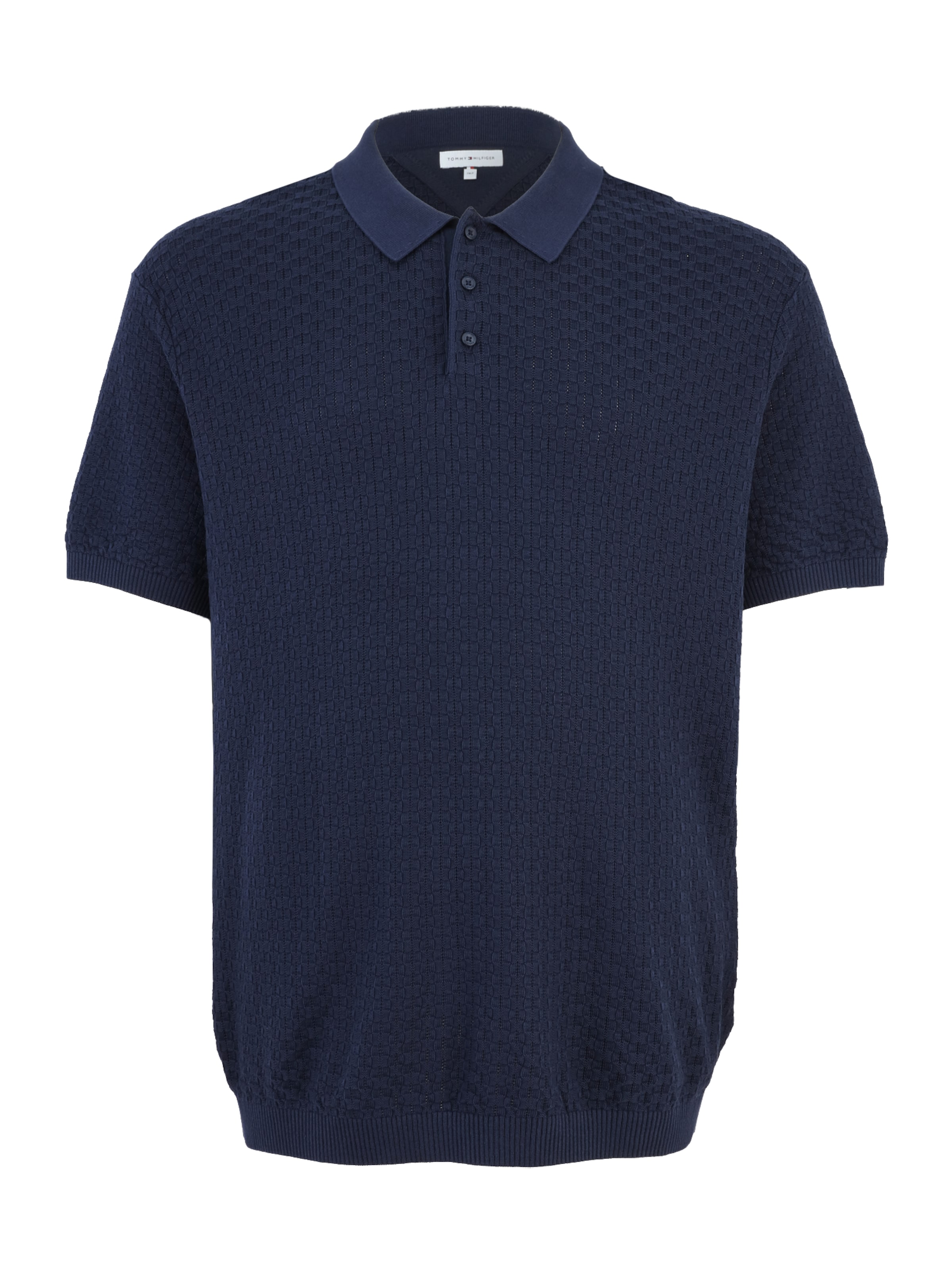 Tommy Hilfiger Big & Tall Sweater in Blue: front