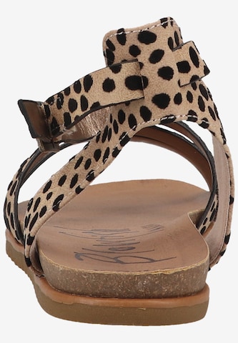 Blowfish Malibu Sandalen met riem in Bruin