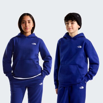 THE NORTH FACE Athletic Sweatshirt in Blue: front