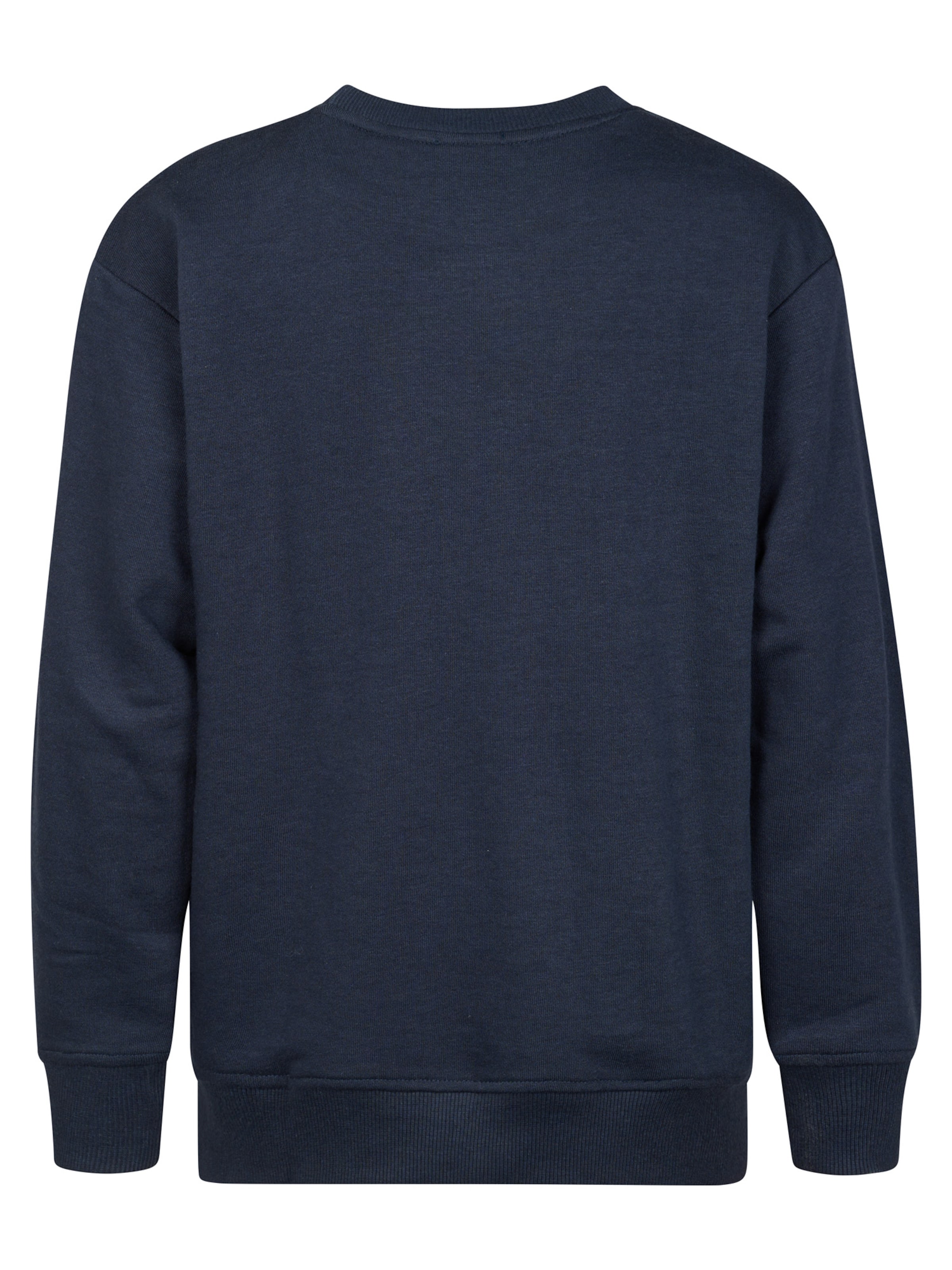 Petrol Industries Sweatshirt 'Coyote' in Blue