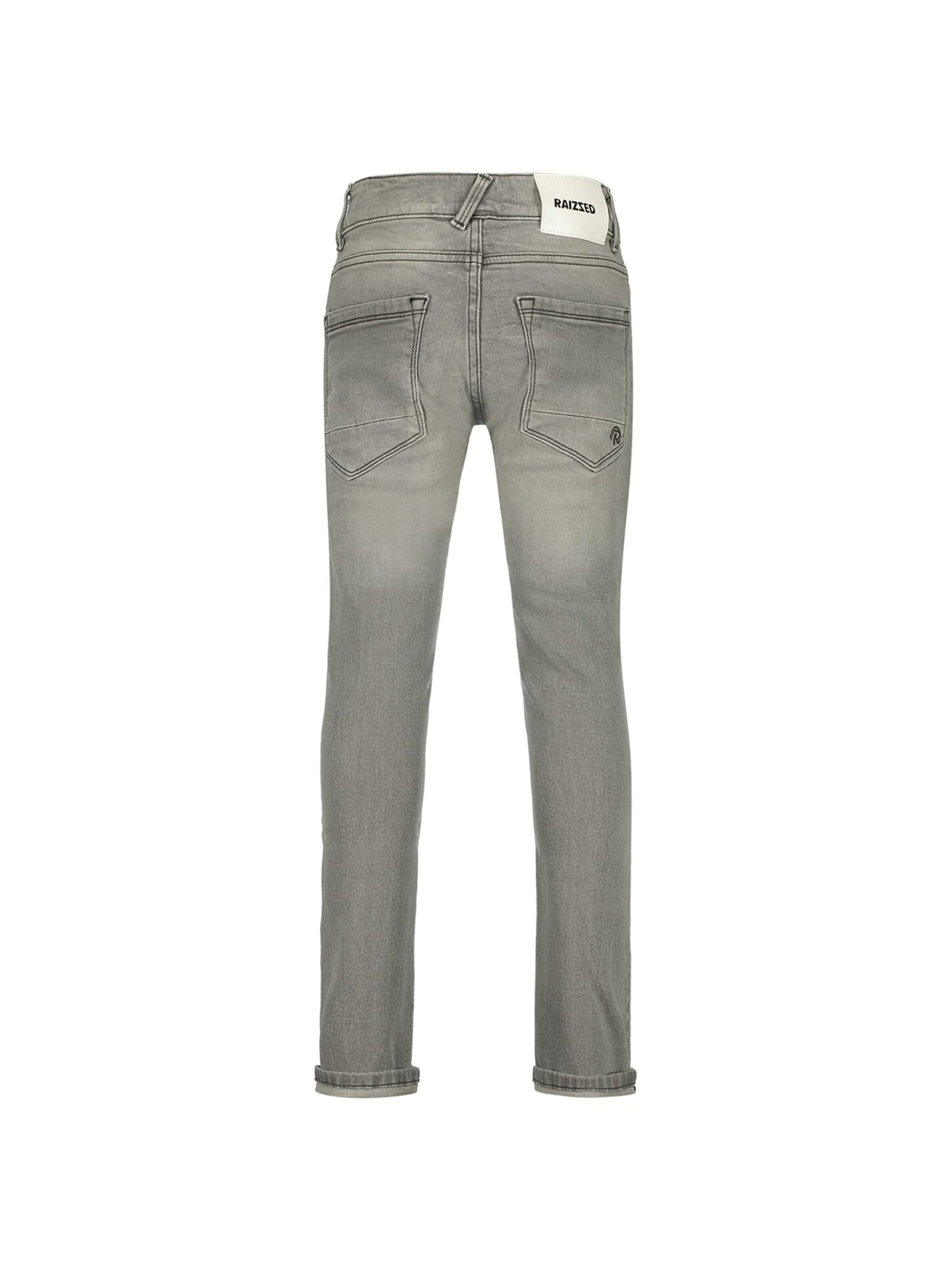Raizzed Baggy Jeans 'Boston' in Grijs