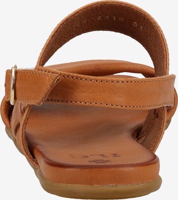 ILC Sandals in Brown