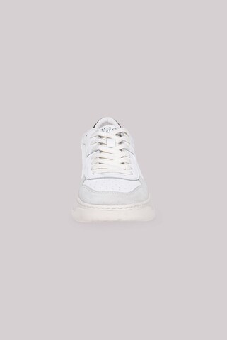 CAMP DAVID Sneakers in White