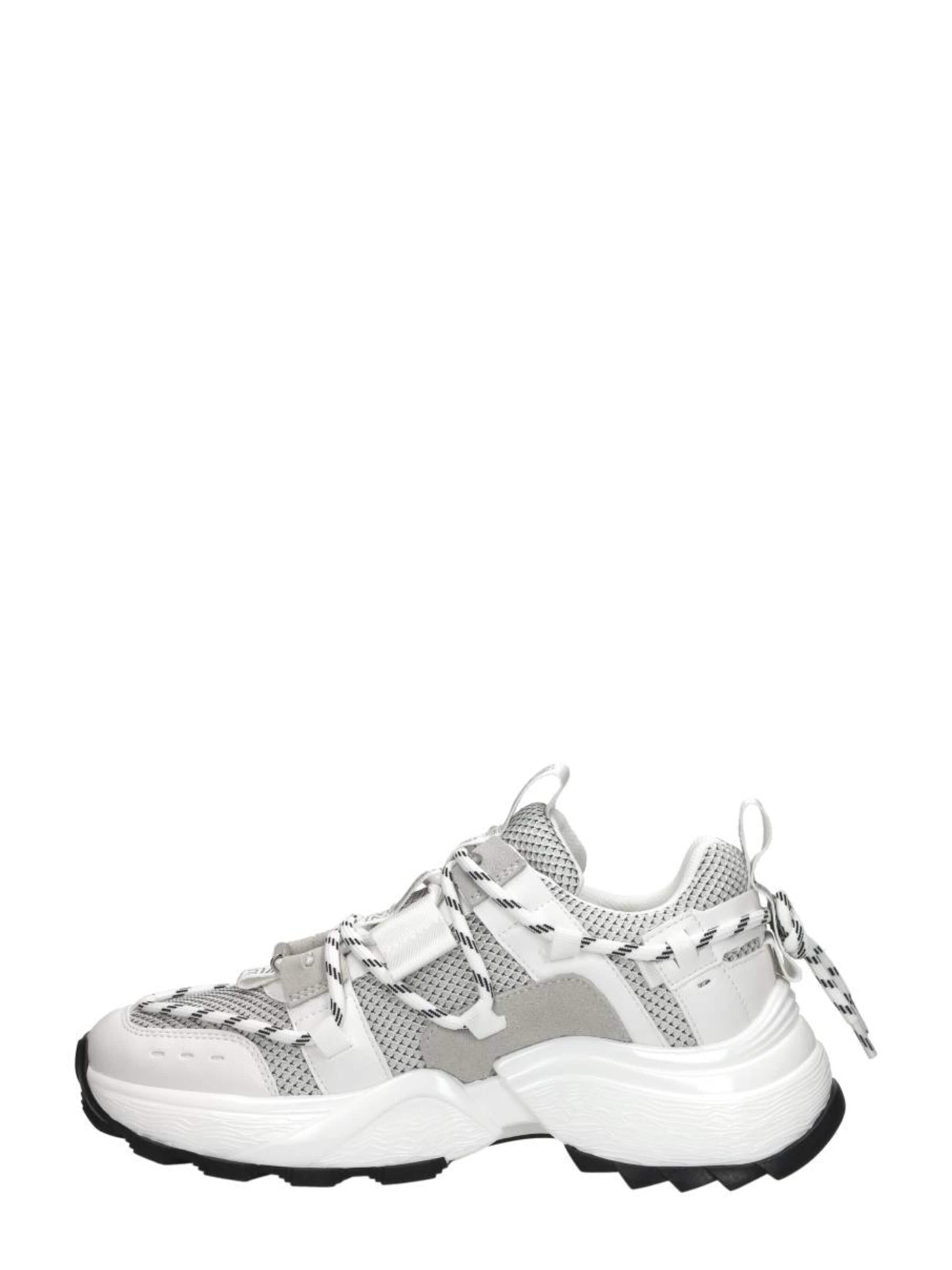 STEVE MADDEN Sneakers 'Tazmania' in White: front