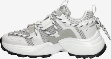 Baskets basses 'Tazmania' STEVE MADDEN en blanc : devant