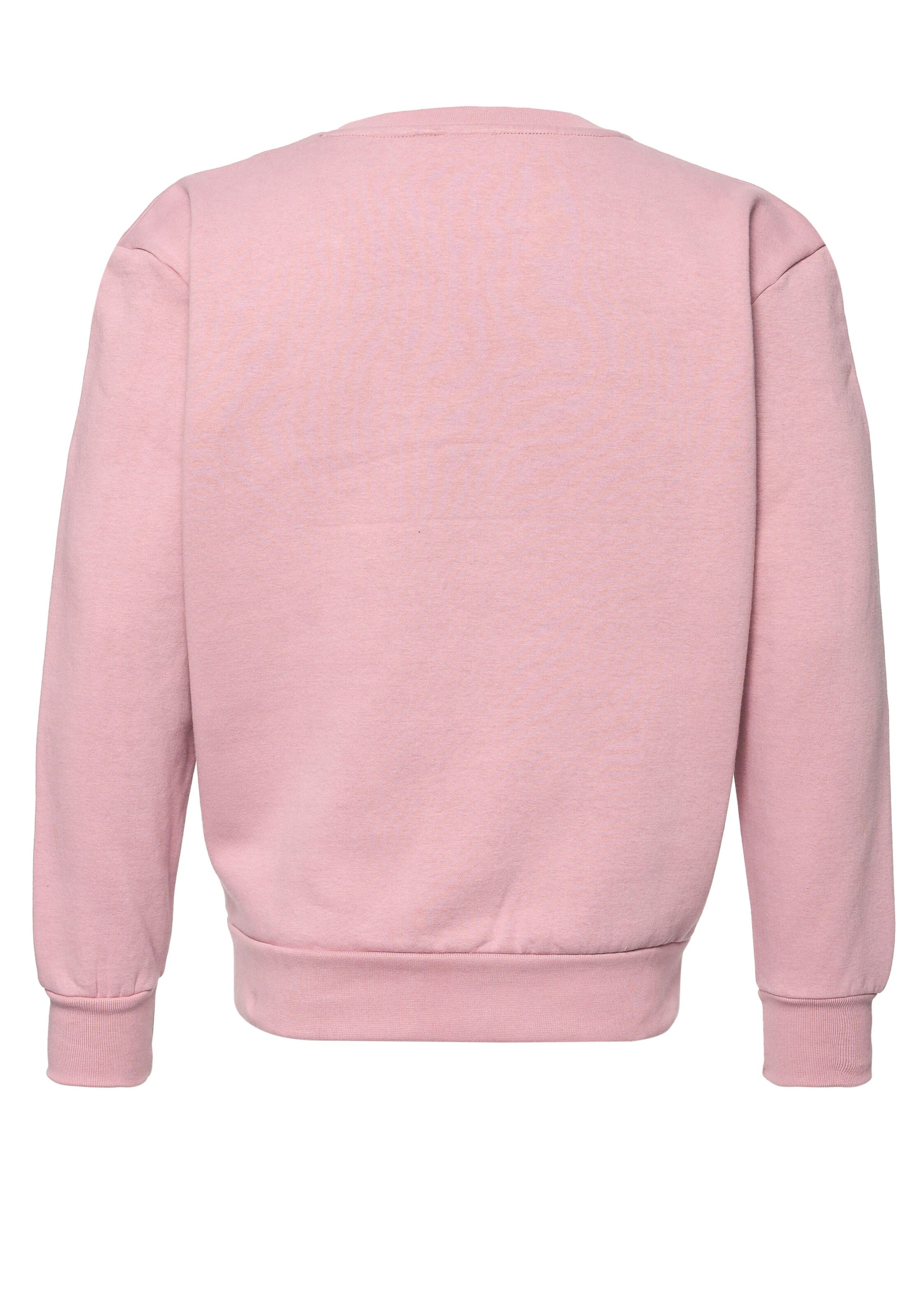 Mikon Sweater in Pink