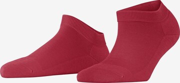 FALKE Füßlinge 'ClimaWool' in Rot: Vorderseite