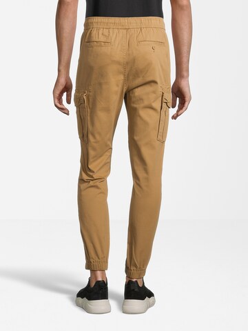 AÉROPOSTALE Tapered Cargo trousers in Beige