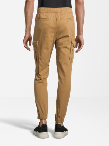 AÉROPOSTALE Tapered Cargobroek in Beige