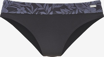 VENICE BEACH Bikinihose in Schwarz: Vorderseite