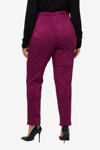 Ulla Popken Regular Pants in Purple