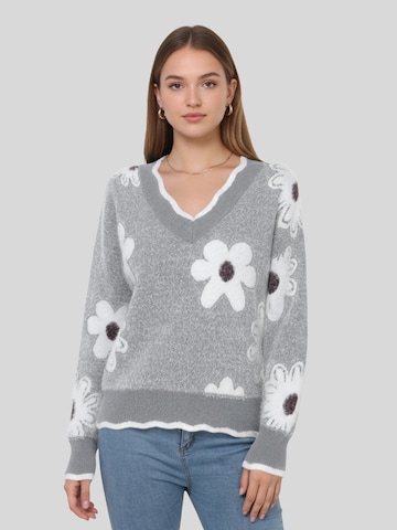 Pull-over LapaPlus en gris : devant