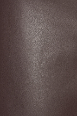 LASCANA Regular Trousers in Brown