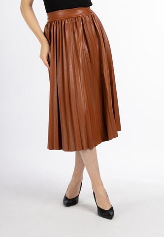 faina Rok in Bruin: voorkant