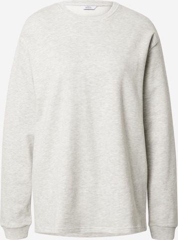Envii Sweatshirt 'NIEBUHR' in Grey: front