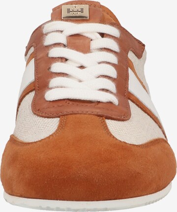 Högl Sneakers laag in Beige