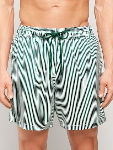 Tezenis Board Shorts in Green: front