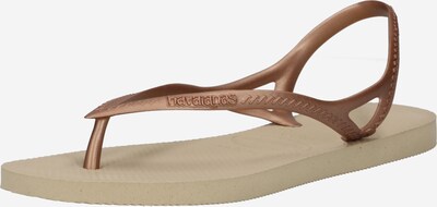HAVAIANAS Japanke 'SUNNY II' u bež / bronca, Pregled proizvoda