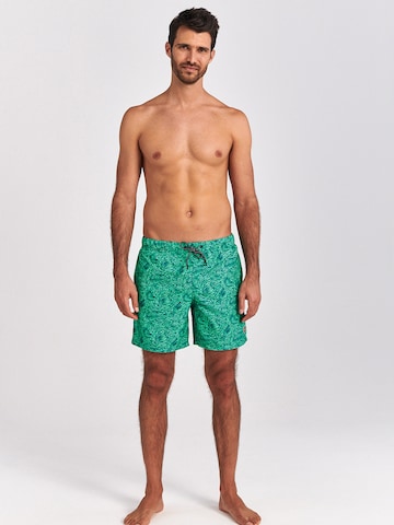 Shiwi Board Shorts in Green