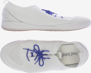 JOSEF SEIBEL Sneakers & Trainers in 42 in White: front
