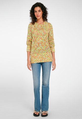 include Trui in Gemengde kleuren