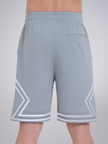 PANTONECLO Boardshorts 'Pantoneclo Men’s Gym Shorts with Side Gaset' in Grijs