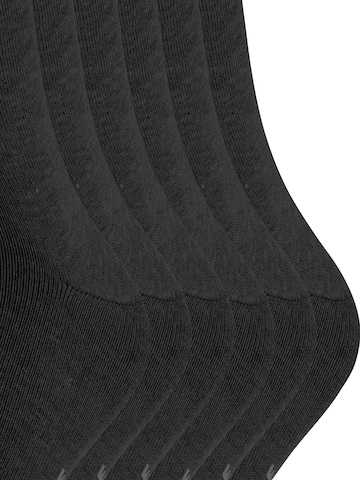 FALKE Socks 'Happy 6-Pack' in Grey