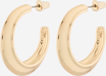 STEVE MADDEN Korvakoru värissä kulta: etupuoli